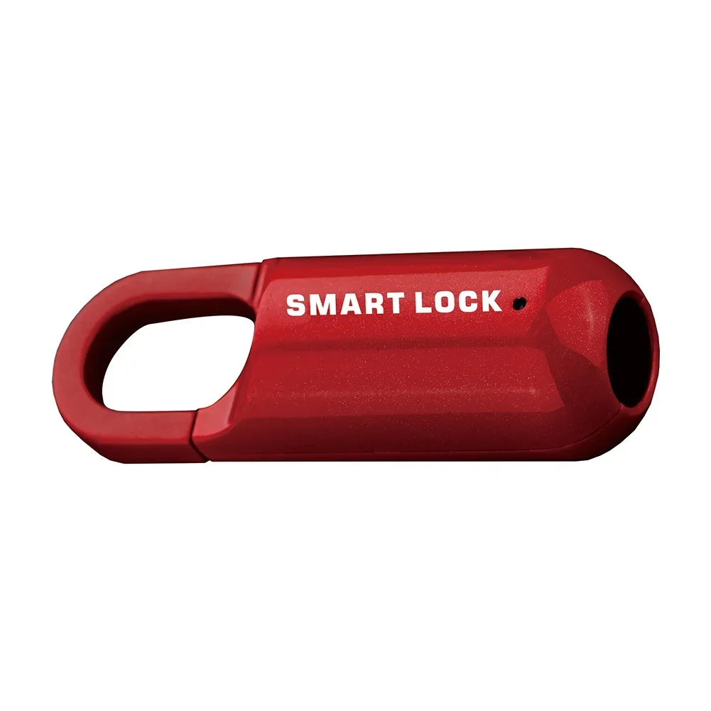 Intelligent Fingerprint Lock